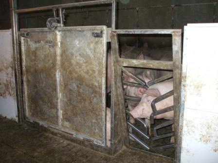 crowd prevention gate